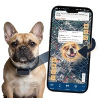 Lokalizator GPS MK12P: dla psa i kota, brak abonamentu, wodoodporny, pojemna bateria