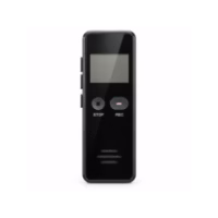 012 - Dyktafon cyfrowy 32GB z wyświetlaczem LCD, aktywacją głosem VOR, USB-C, WAV MP3